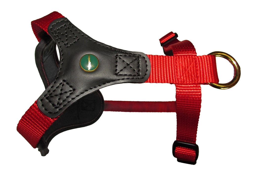 Niggeloh ハーネス FOLLOW Start レッド / Dog Harness FOLLOW Start RED XXS/XS & S/Mサイズ