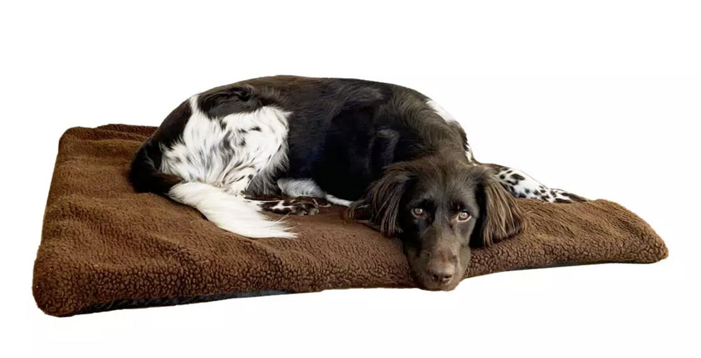 Blaser ドッグ マット フリーズ ブラウン / Dog Blanket BROWN(フリース素材)