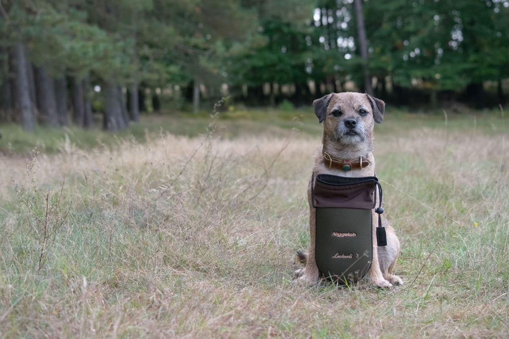 トリーツ ポーチ Quick / Treat Pouch Quick OLIVE